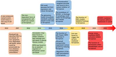 Current insights into the functional roles of ferroptosis in musculoskeletal diseases and therapeutic implications